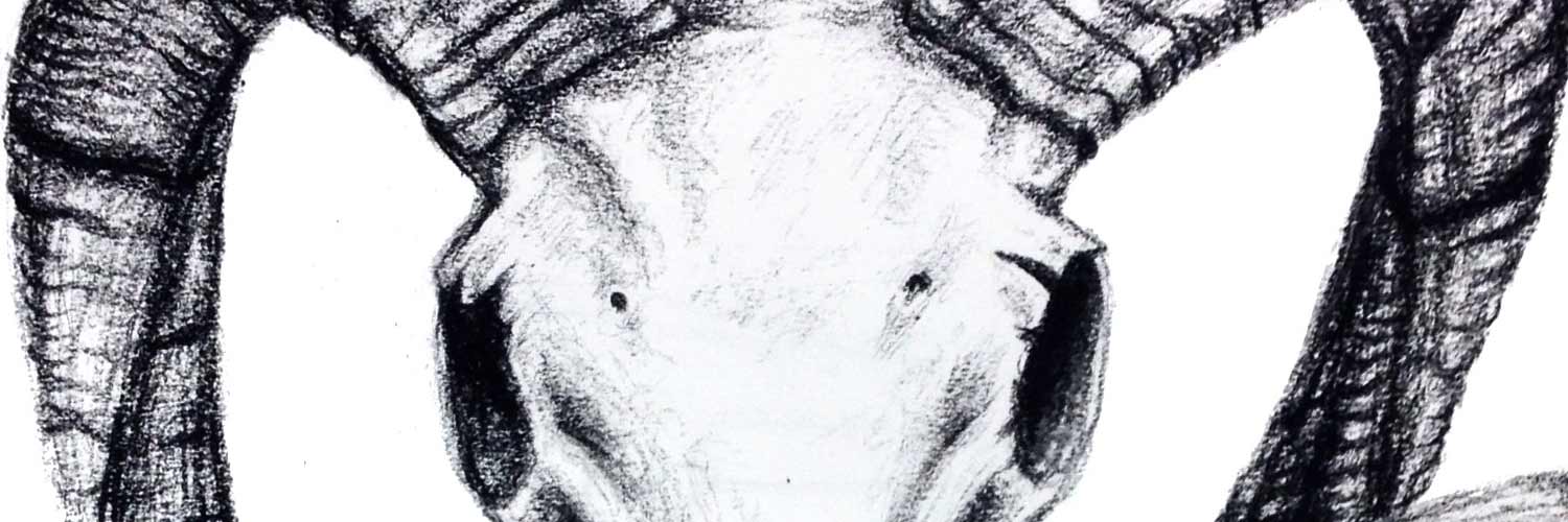 Treasure Hunt – Foundations July 3 – 7