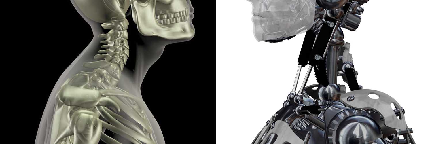 Robots & Skeletons – Foundations+ May 25 – 29