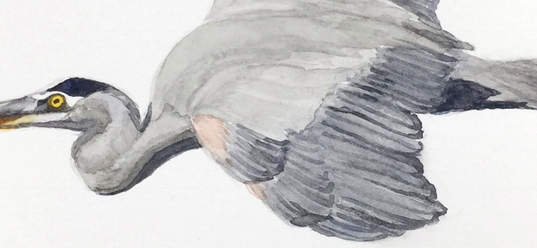 15. Choice Continued – Foundations A