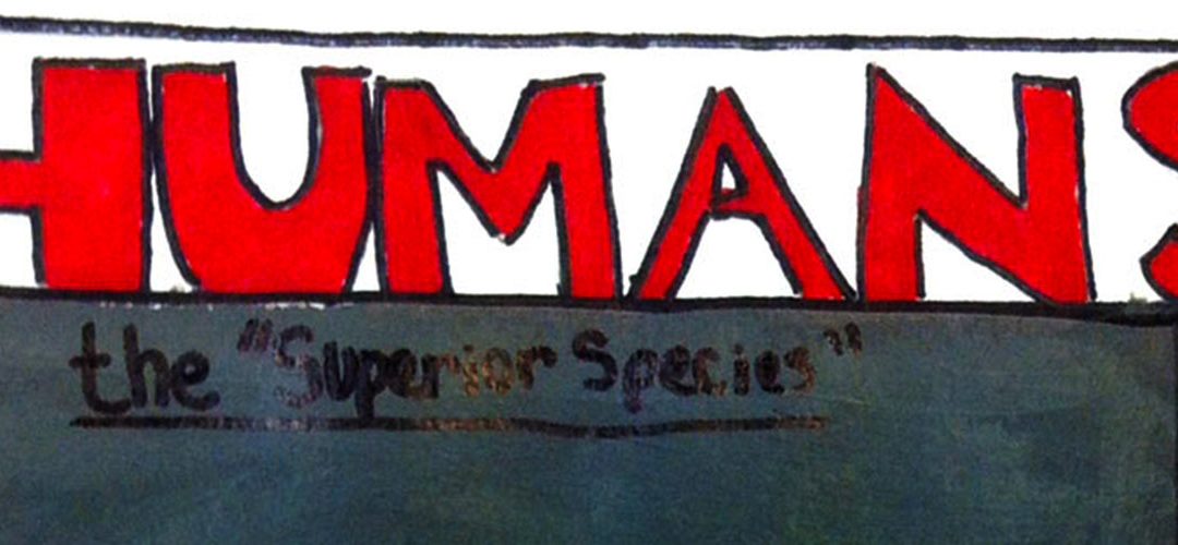 16. Magazine Covers – Foundations A