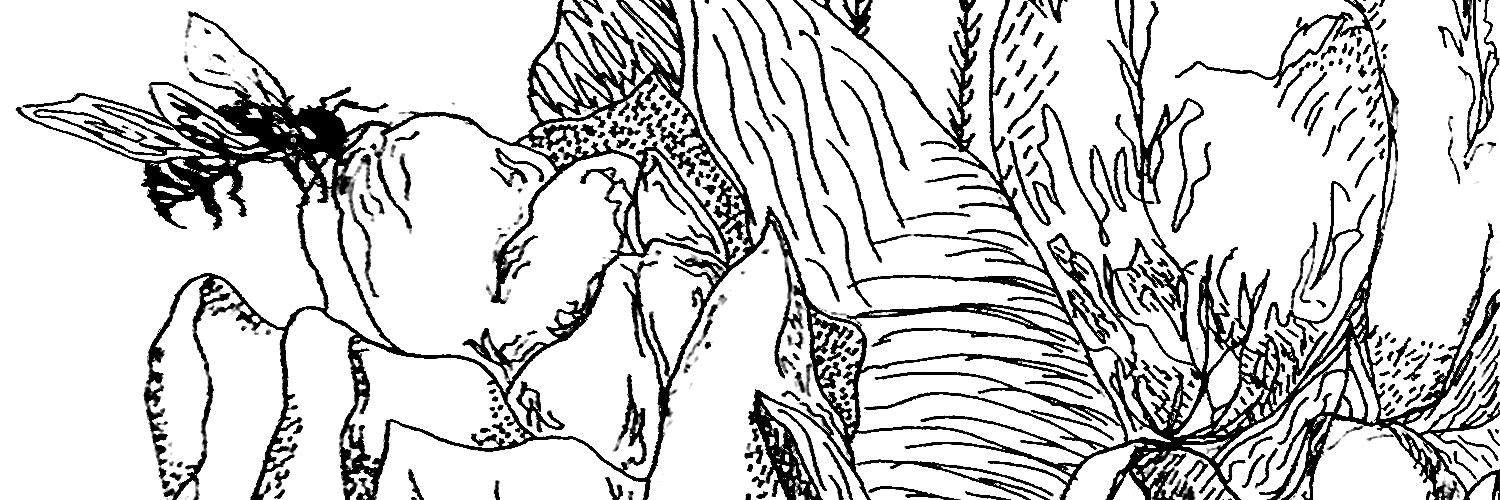 6. Ink and Air – Foundations B+